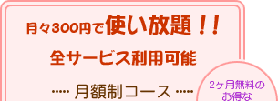 ���X300�~�Ŏg������I�S�T�[�r�X���p�\�B���z���R�[�X
